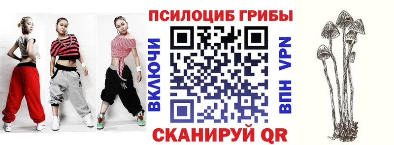 Галлюциногенные грибы Magic Shrooms  что такое   Новопавловск 