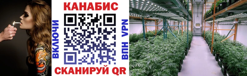 мега ССЫЛКА  Новопавловск  Марихуана Amnesia 